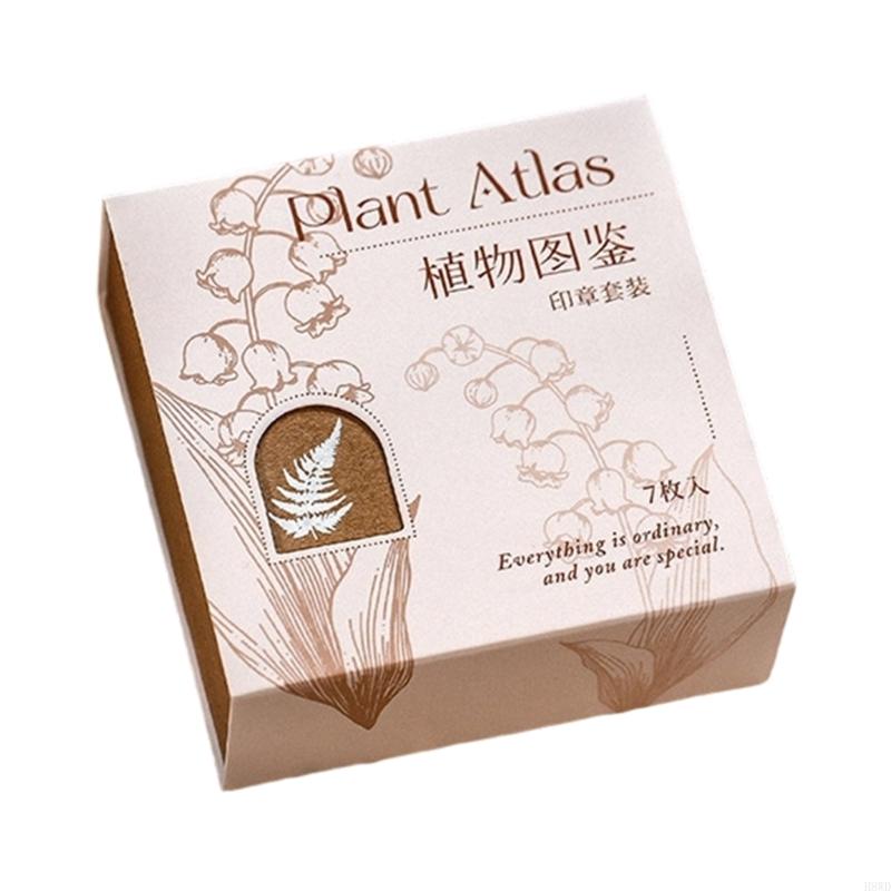 Ensemble joints en blocs bois, - Gift Box Wrap Set avis et prix